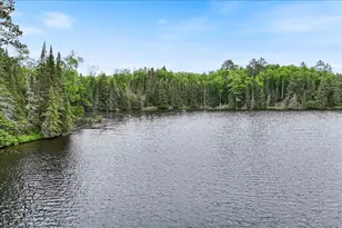 51946 N Wasson Lake Rd, Bigfork, MN 56628 - Photo 47