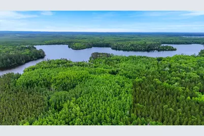 51946 N Wasson Lake Rd, Bigfork, MN 56628 - Photo 49