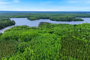 51946 N Wasson Lake Rd, Bigfork, MN 56628 - Photo 49