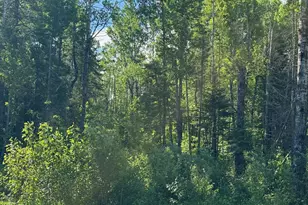 1576 Co Rd 8, Holyoke, MN 55749 - Photo 1
