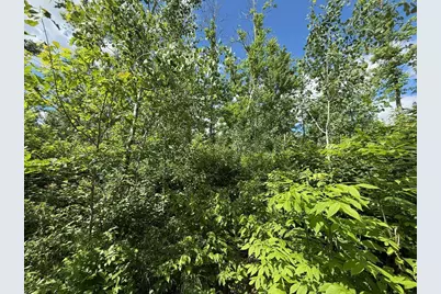 63872 Kingsdale Road, Sandstone, MN 55072 - Photo 5