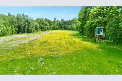 Tbd 390th Avenue, Hillman, MN 56338 - Photo 23