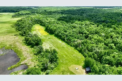 Tbd 390th Avenue, Hillman, MN 56338 - Photo 13
