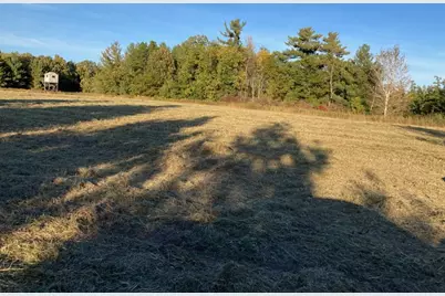 Tbd Hummingbird Road, Braham, MN 55006 - Photo 11