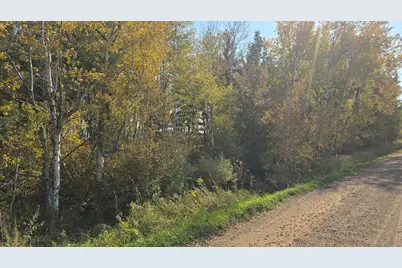 Tbd Hummingbird Road, Braham, MN 55006 - Photo 15