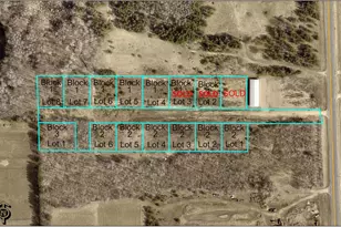 L1B2 Gopher Trail, Jenkins, MN 56474 - Photo 1