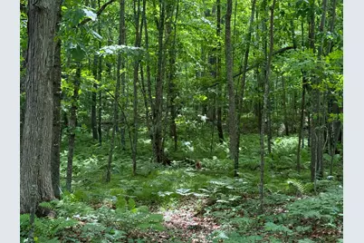 N1785 Lehman Lake Road, Shell Lake, WI 54871 - Photo 59