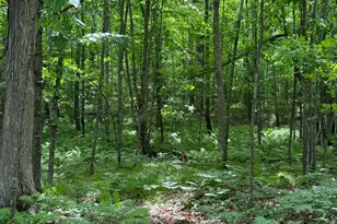 N1785 Lehman Lake Rd, Shell Lake, WI 54871 - Photo 59