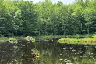 N1785 Lehman Lake Rd, Shell Lake, WI 54871 - Photo 57