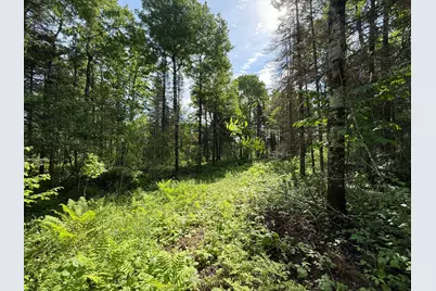 Tbd Arnold Rd., Duluth, MN 55803 - Photo 29