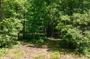 24490 Co Rd 19, Merrifield, MN 56465 - Photo 17