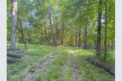 Xxxxx 407th Street, Dent, MN 56528 - Photo 7