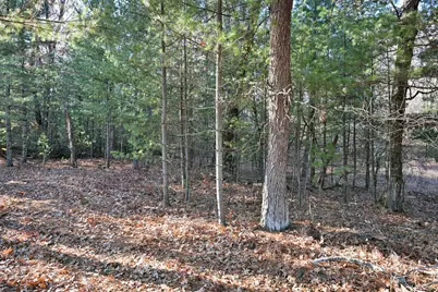Lot 3 N Bass Lake Road, Webster, WI 54893 - Photo 7