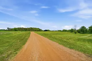 880 Wild Oak Trail, Independence, MN 55359 - Photo 51