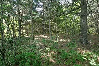 Tbd N Rush Point Drive W, Stanchfield, MN 55080 - Photo 17