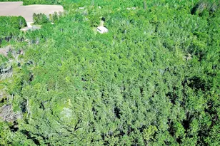 2721 Miller Rd SW, Bemidji, MN 56601 - Photo 29