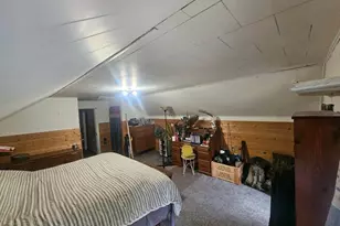 13803 County 14, Spring Valley, MN 55975 - Photo 31