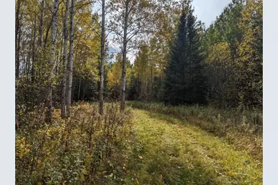 Tbd Deer River Line, Littlefork, MN 56653 - Photo 9