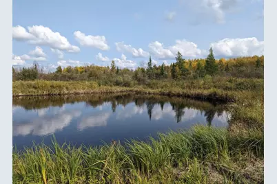 Tbd Deer River Line, Littlefork, MN 56653 - Photo 5