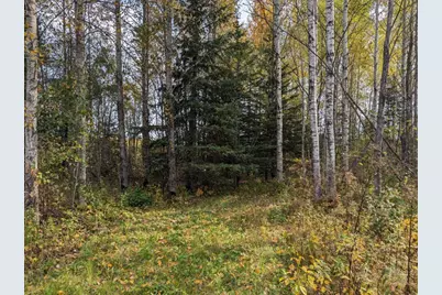 Tbd Deer River Line, Littlefork, MN 56653 - Photo 7