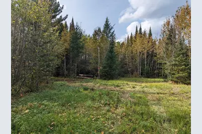 Tbd Deer River Line, Littlefork, MN 56653 - Photo 1