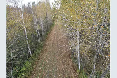 Tbd Deer River Line, Littlefork, MN 56653 - Photo 15