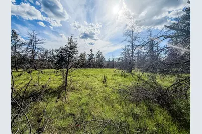 0 County Road Y, Gordon, WI 54838 - Photo 61