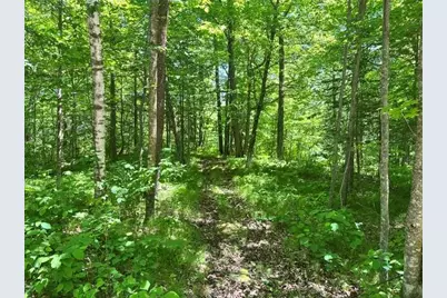 15136 Dandelion Lane NE, Bemidji, MN 56601 - Photo 17