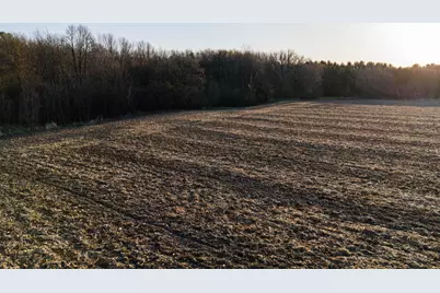 Tbd Lot 1 Park Trail, Center City, MN 55012 - Photo 9