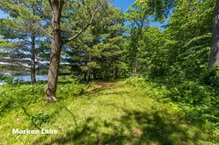 27095 Pelican Lake Rd, Merrifield, MN 56465 - Photo 41