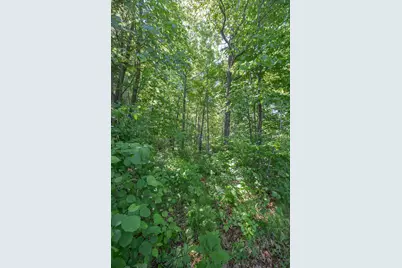 Tbd. Kestrel Trail NW, Hackensack, MN 56452 - Photo 7
