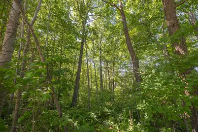 Tbd. Kestrel Trail NW, Hackensack, MN 56452 - Photo 11