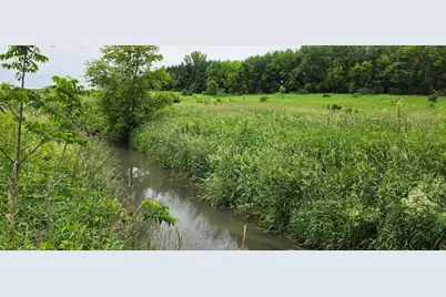 Tbd Cardinal Lane, Mabel, MN 55954 - Photo 13