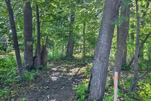 6108 Bittersweet Ln, Nisswa, MN 56468 - Photo 39
