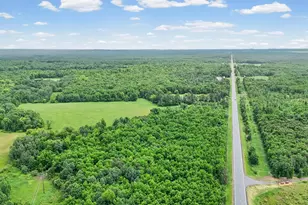 33532 State Hwy 46, Deer River, MN 56636 - Photo 29