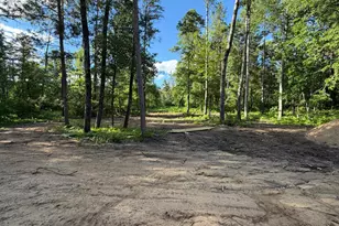 6474 E Clark Lake Ln, Nisswa, MN 56468 - Photo 23
