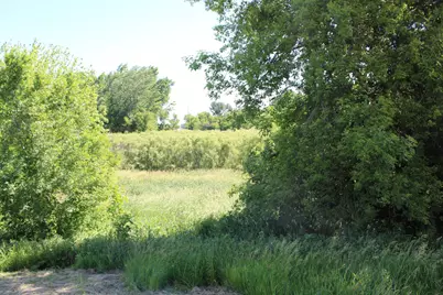 Tbd 225th Street, Silver Lake, MN 55381 - Photo 3