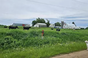 33598 State 28, Burtrum, MN 56318 - Photo 31