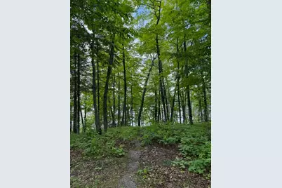 33775 McNeil Road, Aitkin, MN 56431 - Photo 11