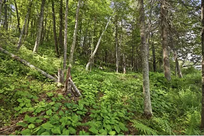33775 McNeil Road, Aitkin, MN 56431 - Photo 19