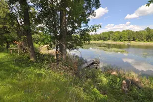 1879 State 87 NW, Backus, MN 56435 - Photo 3