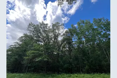 Lot 15 Loon Lake Road, Danbury, WI 54830 - Photo 7
