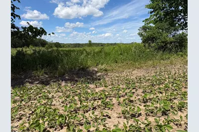 Tbd Co Rd 14, Browerville, MN 56438 - Photo 45