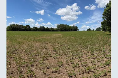 Tbd Co Rd 14, Browerville, MN 56438 - Photo 39