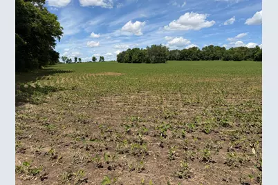 Tbd Co Rd 14, Browerville, MN 56438 - Photo 41