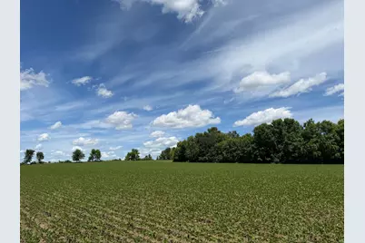 Tbd Co Rd 14, Browerville, MN 56438 - Photo 43