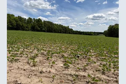 Tbd Co Rd 14, Browerville, MN 56438 - Photo 29