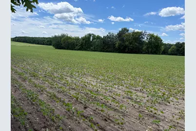 Tbd Co Rd 14, Browerville, MN 56438 - Photo 35
