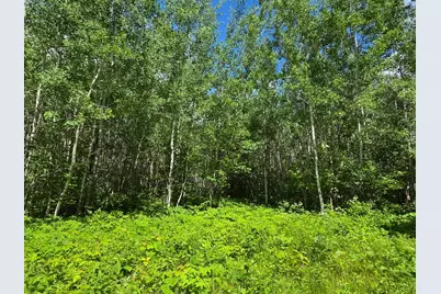 Xxx Mt Nelson Rd, Mahtowa, MN 55707 - Photo 11
