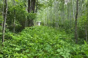 Xxx Mt Nelson Rd, Mahtowa, MN 55707 - Photo 1